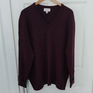 Goodfellow & Co Deep Maroon V-Neck Sweater